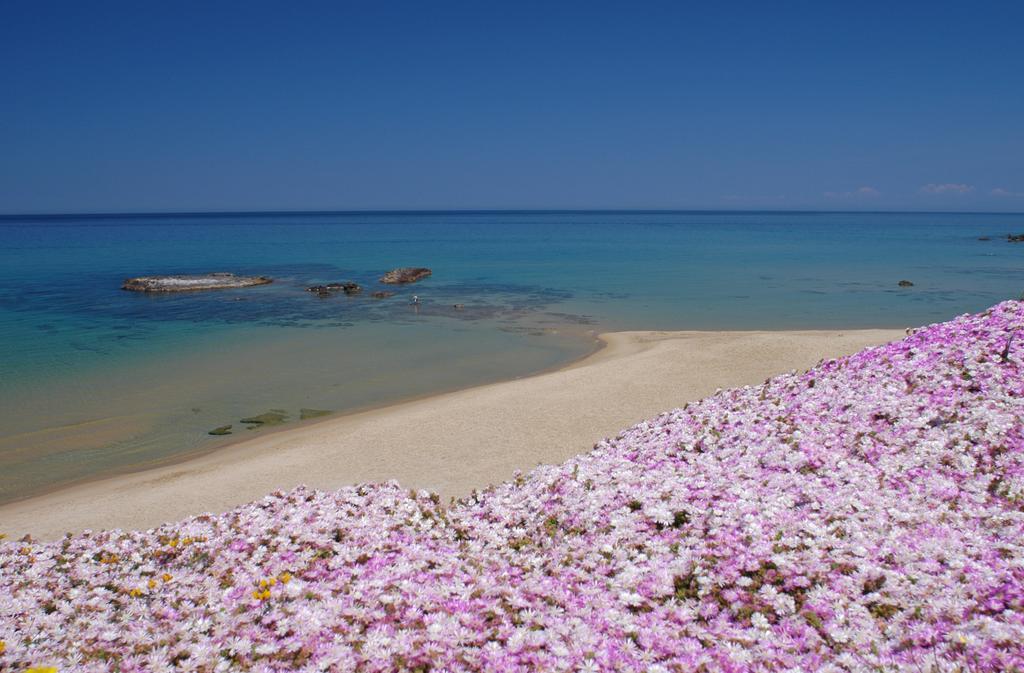 Sogno Di Rena Lägenhet Castelsardo Exteriör bild