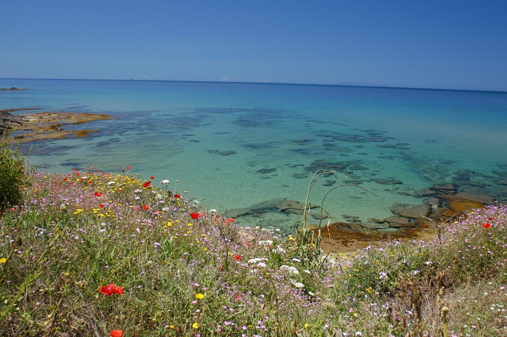 Sogno Di Rena Lägenhet Castelsardo Exteriör bild